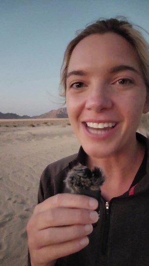 Travel on a Budget with Wanderu: Win $10,000 in Bus and Train Tickets!