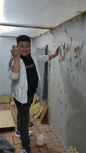 “Gecko Care & Farming Tips 🦎✨ Grow Fast & Healthy!” #gecko #care #life