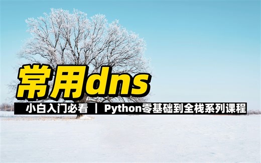 常用dns - 《Python零基础到全栈系列》