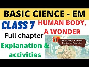 Class 7 Basic science-EM unit5 Human body: A wonder Digestion and Respiration Explanation&activities