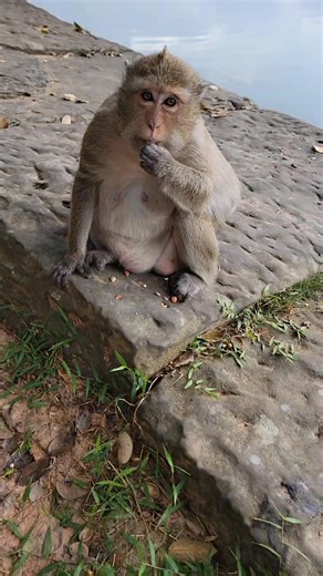 160 reactions · 4 comments | So much sweet love baby | Hand Products | Facebook