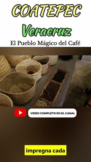 This is what makes COATEPEC special | Magical Coffee Town