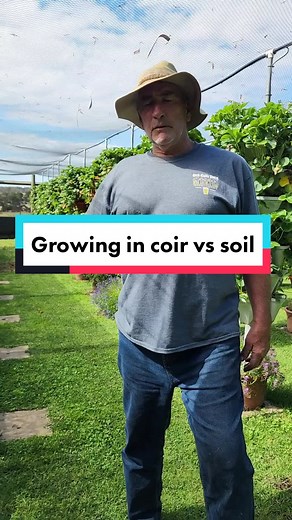 We grow all our vertical crops in coir, its sustainable coconut husk 🥥 that would have otherwise been discarded. It also holds water incredibly well, and is the perfect base for growing both hydroponically and vertically. #fyp #verticalfarm #verticalfarming #coir #hydroponics #gardening #sustainable #Melbourne #hydroponicfarm