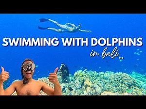 We swam with wild dolphins in Bali 🇮🇩 | from java to Bali Travel Vlog