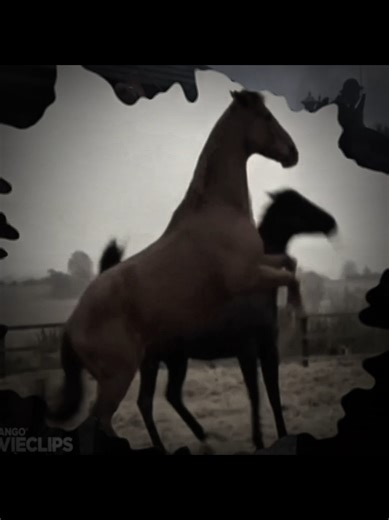 The Sadness of Black Beauty: A Horse's Dream