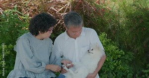 Old couple play with dog at park