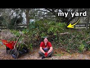 I Gave My Yard a Makeover in One Day for $0!