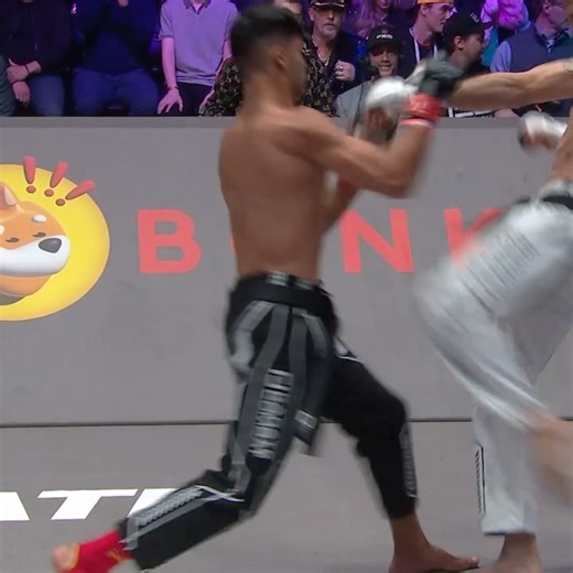 4.6K views · 24 reactions | Karate Combat on Reels | Facebook