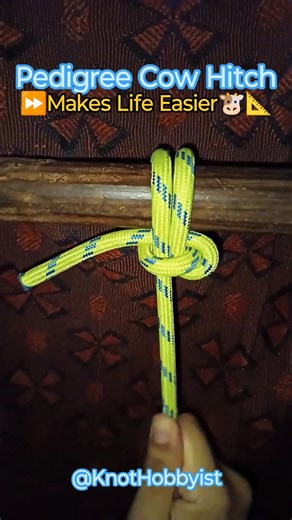 🎵🐮 Pedigree Cow Hitch| Quick & Easy Hitch Knot To Make Your Life Easier 📐 #knottutorial #shorts