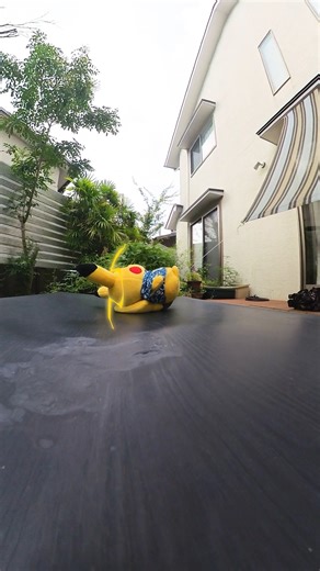 14K views · 248 reactions | Pikachu used Rampage! It hit itself in its confusion! Pikachu fainted! Patio Roof gained 500 Exp. Points!  @hi_roak1 with #Insta360X3 | Insta360 | Facebook