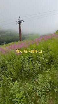 笠ヶ岳 横手山 # #登山 #日本三百名山