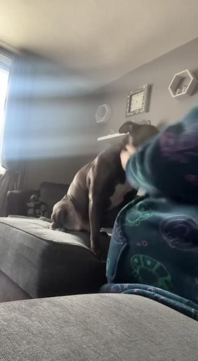 Kieron Bell on TikTok