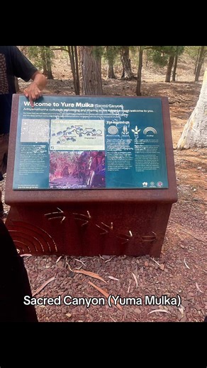 Sacred Canyon (Yuma Mulka) Nestled in the rugged Ikara-Flinders Ranges, South Australia #ExploreTheOutdoors #EpicViews #TrailTales #OutdoorEscape #ExploreAustralia #flindersrange #SacredCanyon #YumaMulka