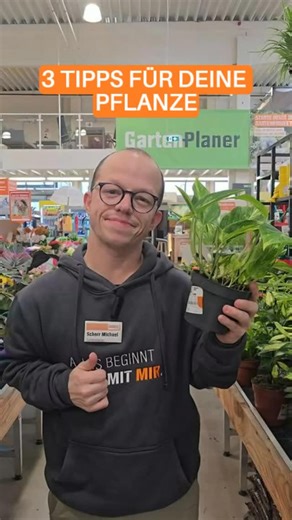 62 reactions · 10 comments | Wir zeigen dir 3 Tipps damit deine Pflanze (länger) lebt! 華 Was ist dein bester Pflanzen Hack? 樂 #obi #obioesterriech #allesmachbar #contentcreator #arbeitenbeiOBI #pflanze | OBI | Facebook