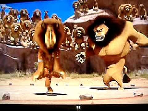 Madagascar Alex's Dances