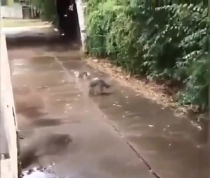 128K views · 3.4K reactions | #Mexicali directo a las noticias...