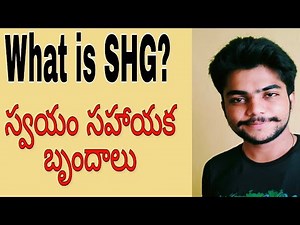 Self Help Group, స్వయం సహాయక బృందాలు , what is self help groups full Explanation, CBSC 10 class