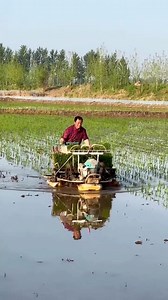 small rice transplanter machine 😱😱 . . . . . . . . . . . #farming #dhankiropai #agriculturemachinery #agriculture #paddytransplanter #riceplantingmachine #kubota #agriculturemachine #farmmachinery | 𝘽𝙡𝙪𝙚 𝘾𝙝𝙚𝙢𝙥