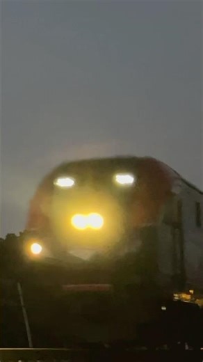 Amtrak #317 and #307 pulling train 20