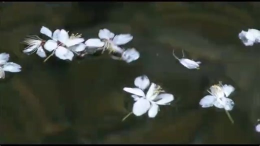 Enhance Your Video with Creative Scene Transitions