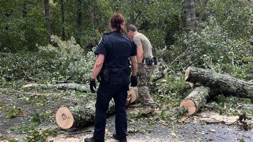 Latest SC updates | Here's what resources are available