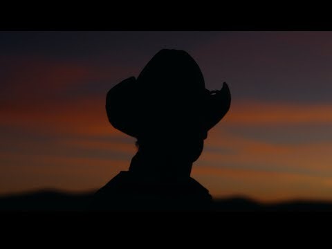 16mm & 35mm Film Emulation Test (Arri, Sony, Lumix, etc) CINEVISTA 210