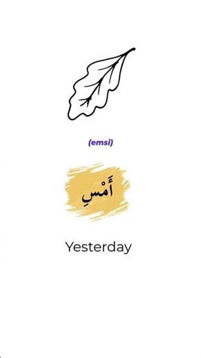 Learn FAST Arabic Vocabulary Now