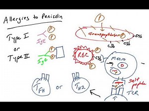 Penicillin allergic reactions