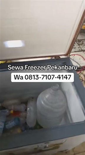 Sewa freezer & showcase pekanbaru 081371074147