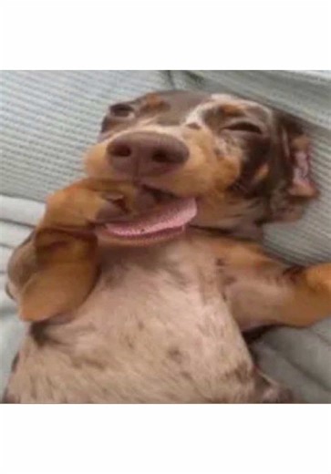 srry for the lack of posts l've been procrastinating gyulp ...! animaticlock ajomaticlock aniamticlcomc animaticlock animaticlcok animatclock aanimaticicclockanikagiclcochsabajianimagickcicja nikaj#itstimefortheclock #tween #objectshow #animation #animaticbattle