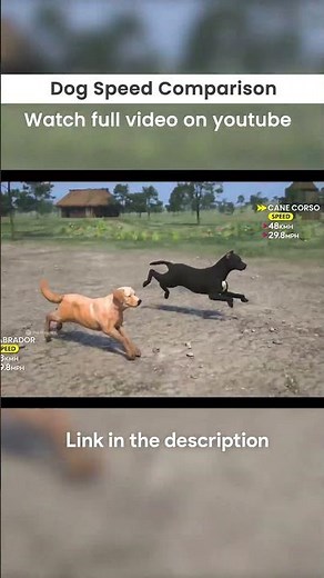 Fastest Dog Breeds in the World 🐕 3D Speed Comparison #dogspeed #3dcomparison #shorts