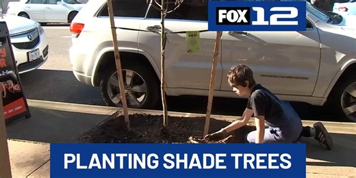 Portland group, volunteers plant shade trees in partnership with Parks & Rec