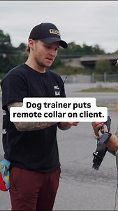Follow @tomdavis ! | Tom Davis Dog Training