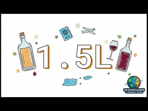 Intro 1 - Navigating Customs Logistics