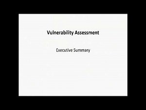 Vulnerability Assessment - Executive Summary Report Template