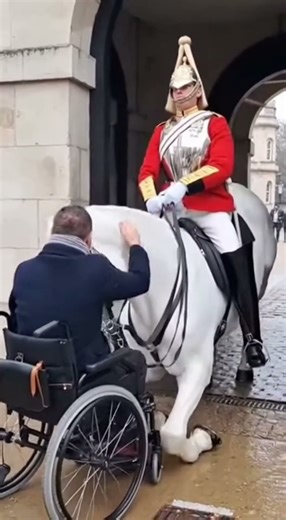 A Peaceful and Touching Moment Between a Man and a Horse
