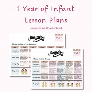 1 Year Infant Curriculum Bundle: 12 Months of Lesson Plans, Baby Sign Language & More - Etsy Australia