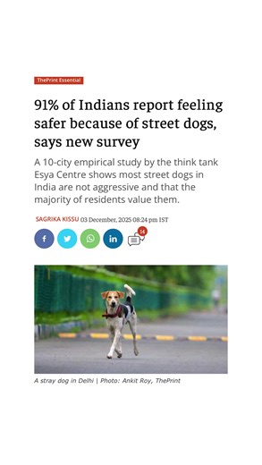 💔 The ones in charge say they’re a danger… but 91% of Indians feel SAFER because of street dogs. ❌ These dogs don’t own the lanes they guard. ❌ They have no home, no bed, no protection of their own. ✅ Yet every night, they choose to protect us. 🐾 They bark at strangers approaching your gate. 🐶 They chase away threats long before you even notice. 🤎 They sleep outside your home so you can sleep inside it safely. 😔 And somehow… they’re the ones labeled a “problem.” 🇮🇳 But India knows better.