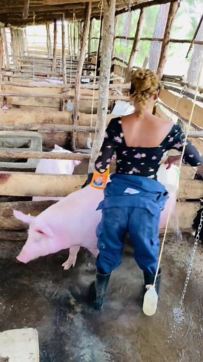 Essential Hygiene Practices for Sustainable Farming