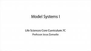 Model Systems I
