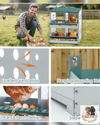 4-Compartment Metal Chicken Nesting Box - Wall Mount