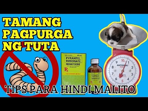 HOW TO DEWORM A PUPPY?/ PAANO MAGPURGA NG TUTA?
