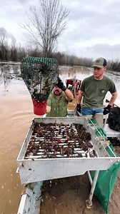 Season update 👇 We’re already seeing the price dropping folks! Things are looking better than expected now, and we predict things are going to start looking even better over the next few weeks. 🦞Who’s getting ready to boil? #crawfish #crawfishboil #cajun #louisiana