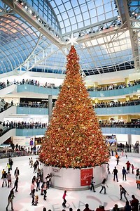 It’s (almost) the most magical time of the year at Galleria Dallas🎄✨ Every holiday season, the country’s tallest indoor Christmas tree steals the show! Standing 95 feet tall, this iconic tree takes nearly 50 elves, 700 branches, and five full days to build from the ground up. The tree will be complete on Thursday, November 6, just in time to kick off the holiday season in style. 🌟 And this year, Galleria Dallas is in the running for Newsweek’s Best Christmas Tree in the U.S. — let’s help them 