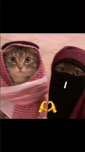 Halal love story😅🤌 || #shortsfeed #shorts #viral #trending #aesthetic