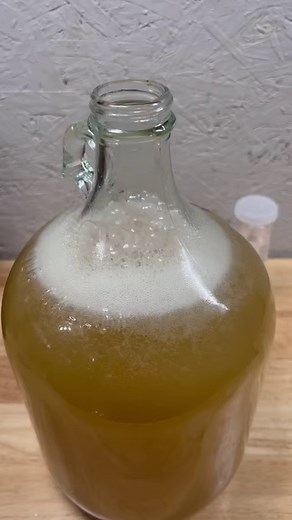 Example of why you should degas before adding yeast nutrients to your mead, especially with limited headspace. #mead #honeywine #meadmaking | Mead Weaver