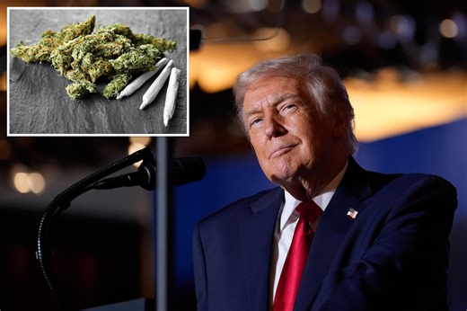 Cannabis stocks spike on reports Trump plans to ease federal pot restrictions