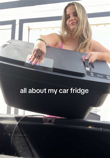 I have the this one linked in my bio.. but I linked a similar one here too! Also, I know it’s time for a detail 🫡 #carfridge #momhack #tesla