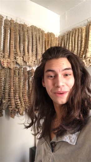 Celebrate with Us: 100 Unique Vertebrae Spines Collection Now Available!