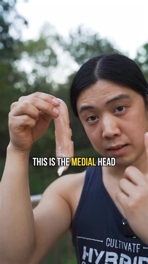 Hampton on Instagram: "You need muscle for strength and strength for muscle. This statement sounds controversial to some, but it really shouldn't (in my opinion). Calisthenics people tend to focus more on the movement and skill than the muscle. Which is fine - you can get a lot more out of your muscles than you might think! However, my hypothesis is that some of us get stuck because we're so used to neural training that we forget that the bottleneck is sometimes as simple as the "need bigger mus